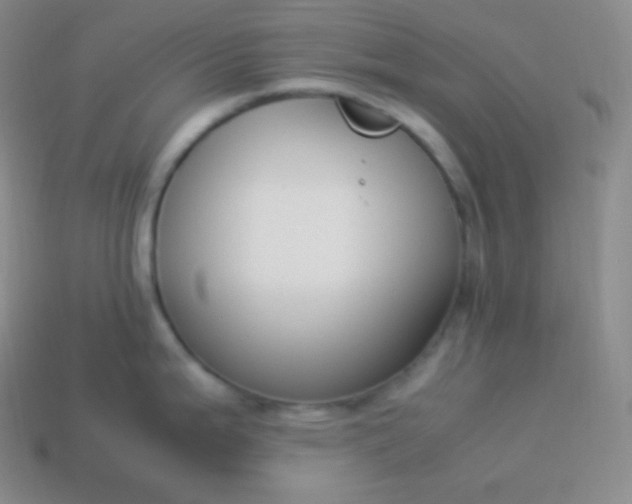 X0000113951199200910091602