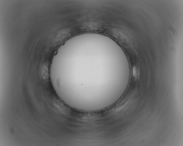 X0000113951203200910091601