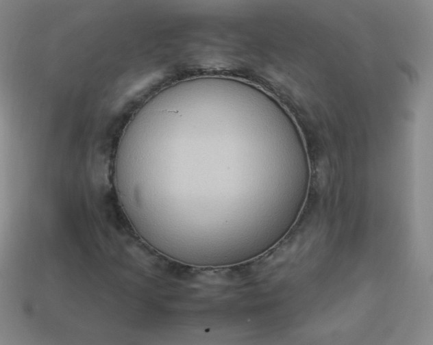 X0000113951205200910091601