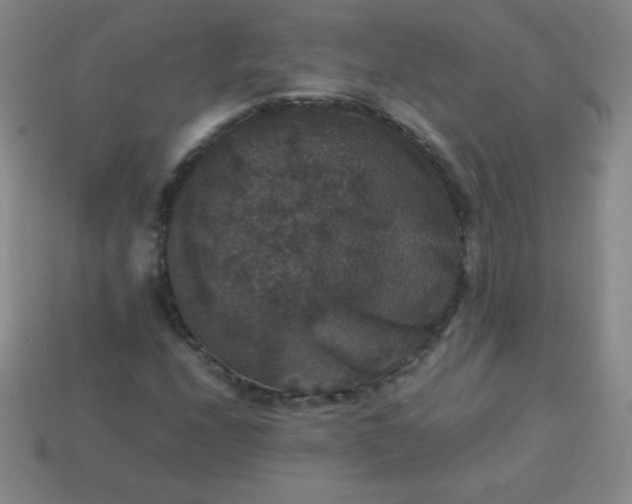 X0000113951208200910091601