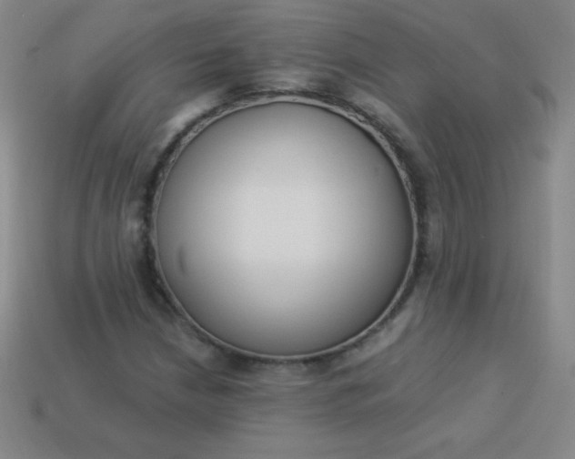 X0000113951210200910091601