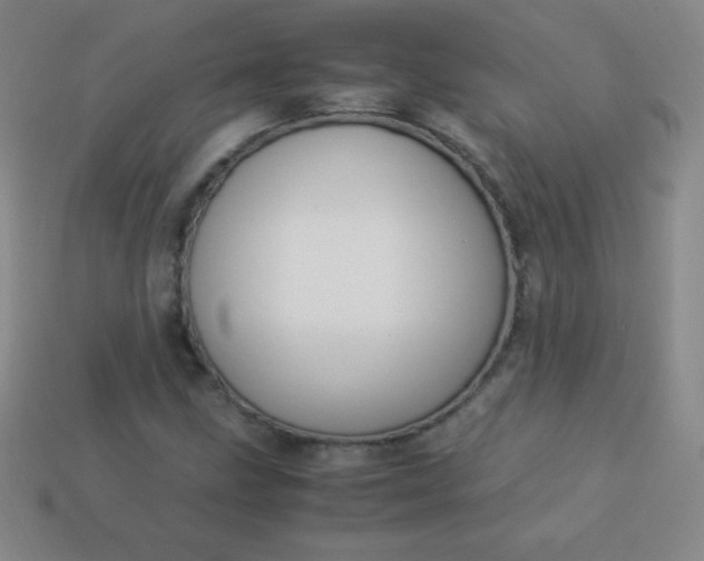 X0000113951211200910091601