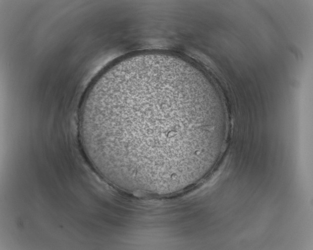 X0000113951212200910091601