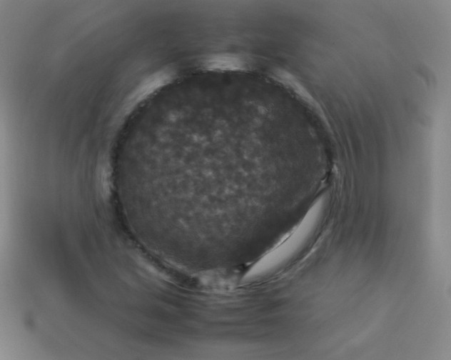 X0000113951213200910091601