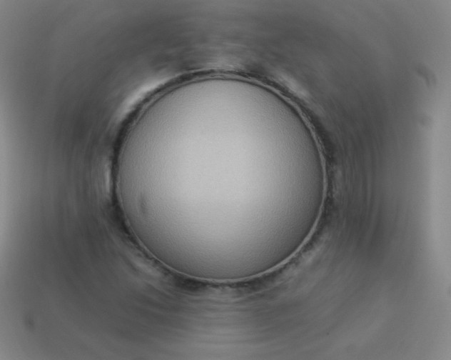 X0000113951214200910091601