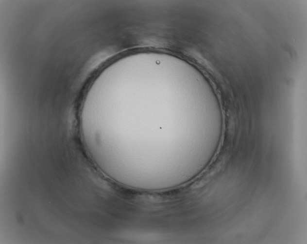 X0000113951215200910091601