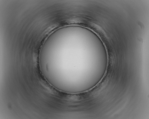 X0000113951217200910091601