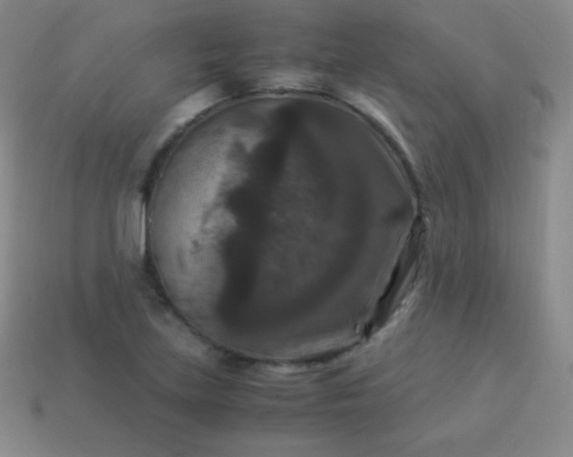 X0000113951219200910091601