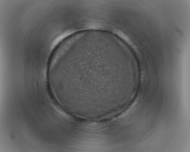 X0000113951222200910091601
