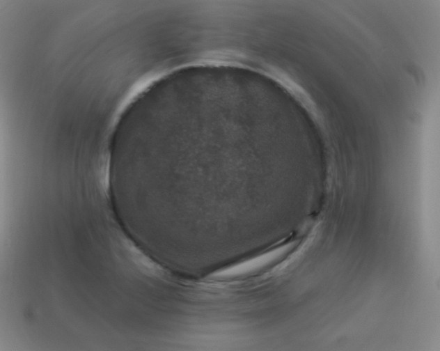 X0000113951224200910091601