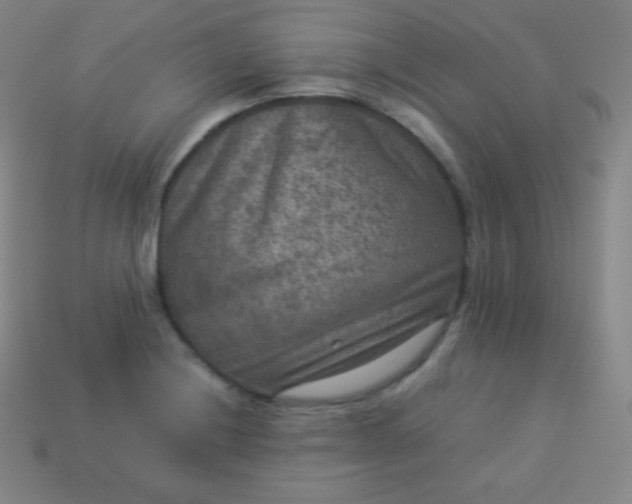 X0000113951228200910091601
