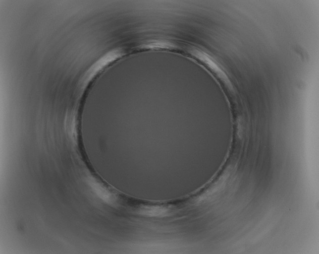 X0000113951229200910091601