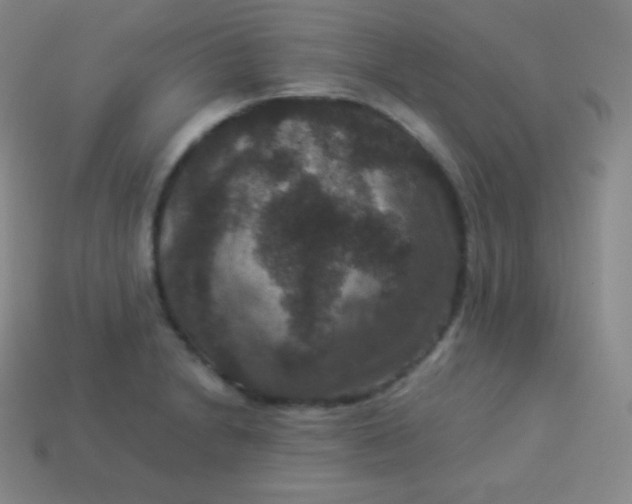 X0000113951230200910091601