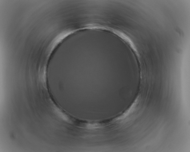 X0000113951231200910091601
