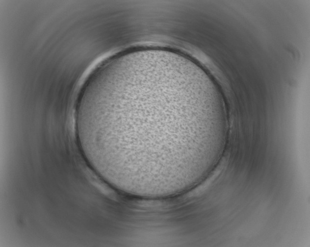 X0000113951232200910091601