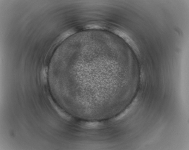X0000113951233200910091602