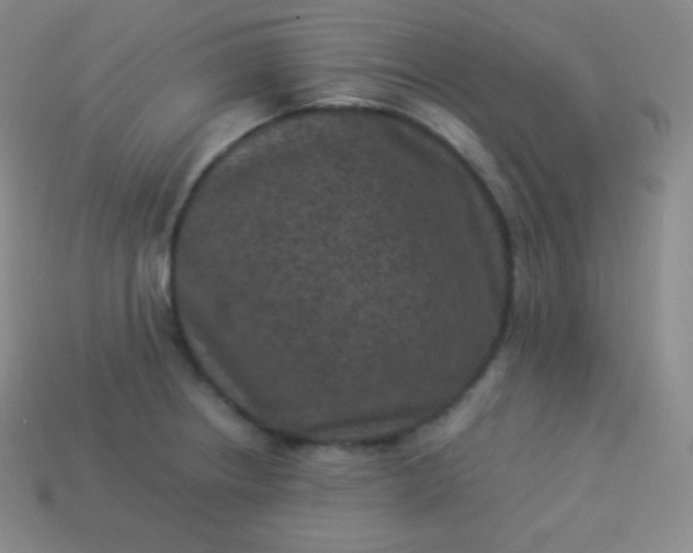 X0000113951234200910091602