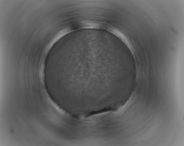 X0000113951235200910091602