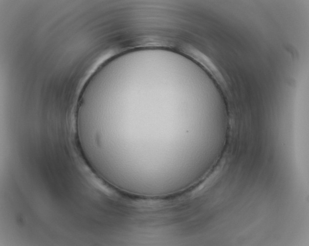 X0000113951236200910091602