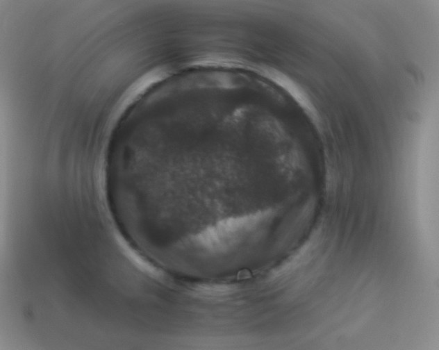 X0000113951237200910091602