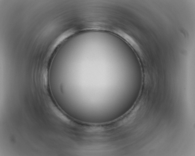 X0000113951238200910091602