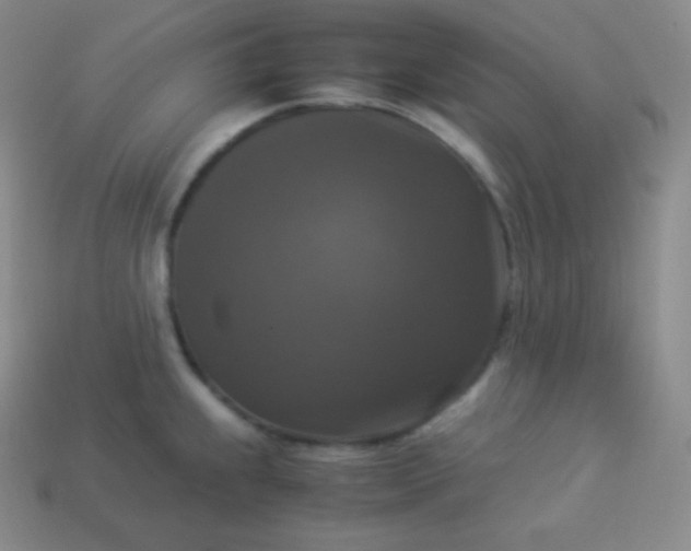 X0000113951239200910091602