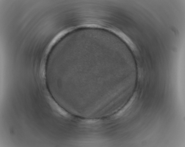 X0000113951240200910091602