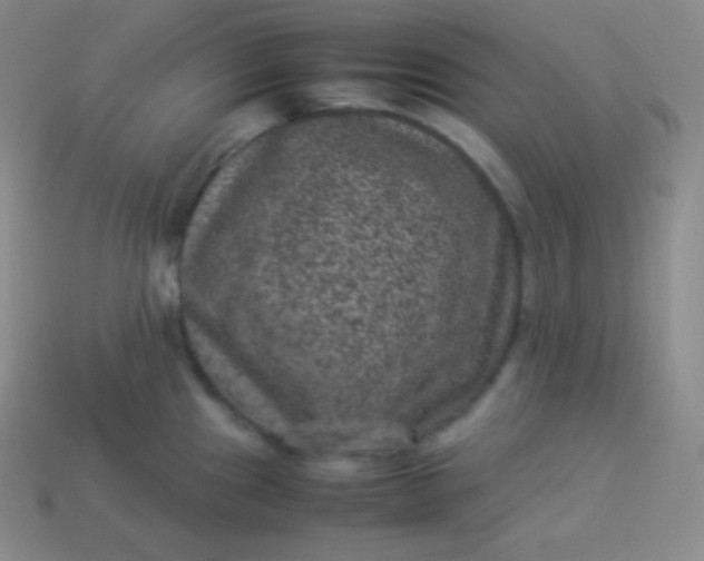 X0000113951241200910091602