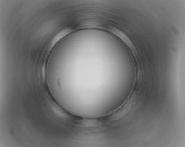 X0000113951242200910091602