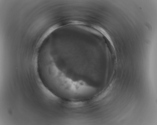X0000113951243200910091602
