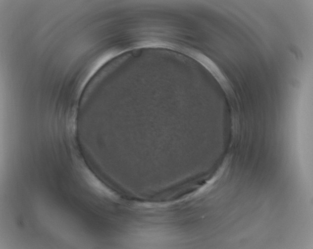 X0000113951244200910091602