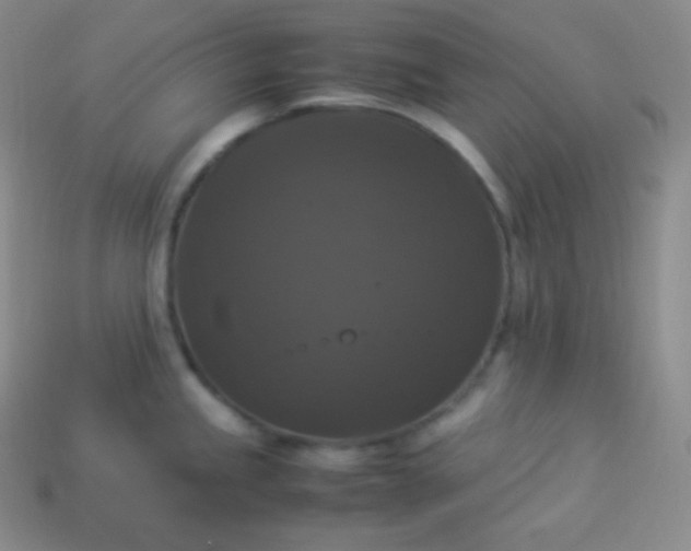 X0000113951245200910091602