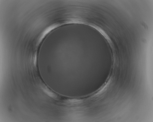 X0000113951246200910091602