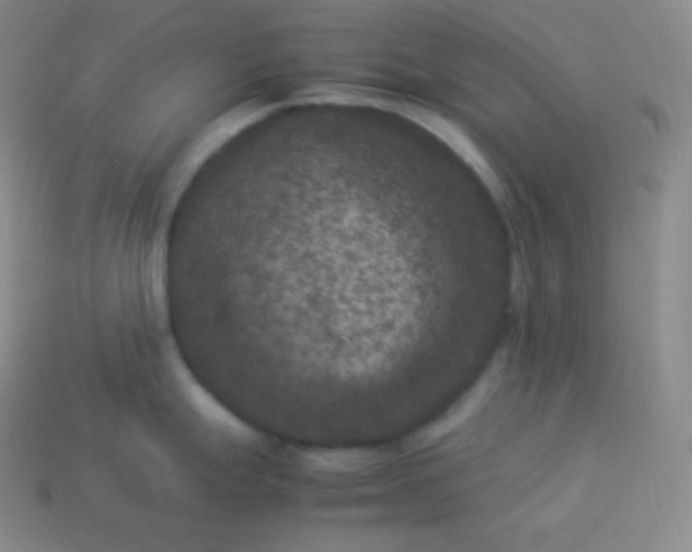 X0000113951247200910091602