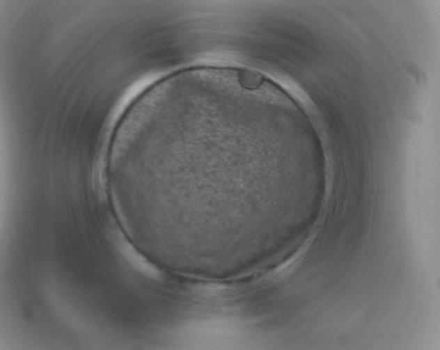 X0000113951248200910091602