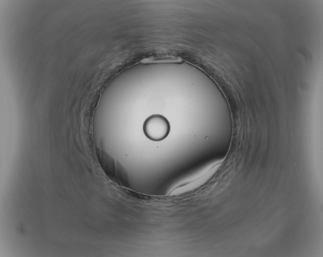 X0000113951249200910091601
