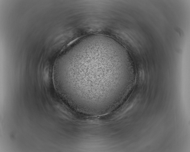X0000113951250200910091601