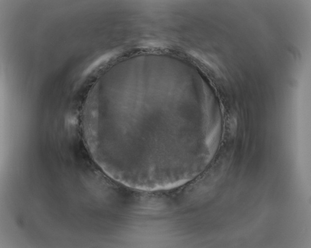 X0000113951254200910091601