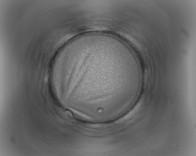 X0000113951257200910091601