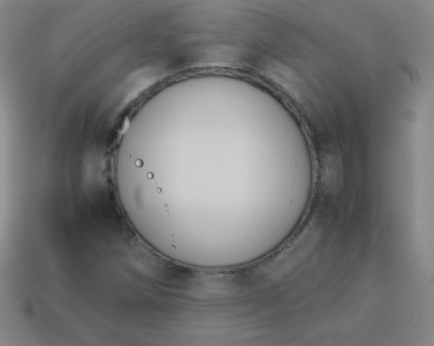 X0000113951258200910091601