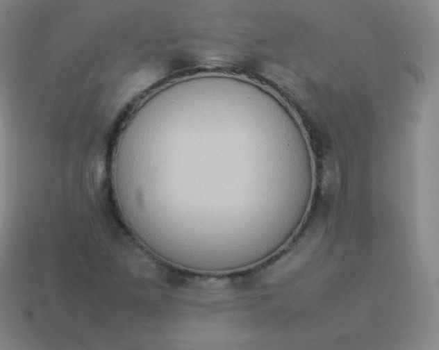 X0000113951261200910091601