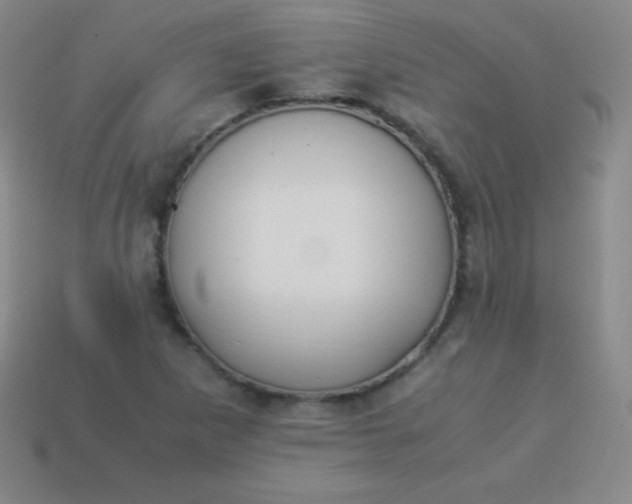 X0000113951265200910091601