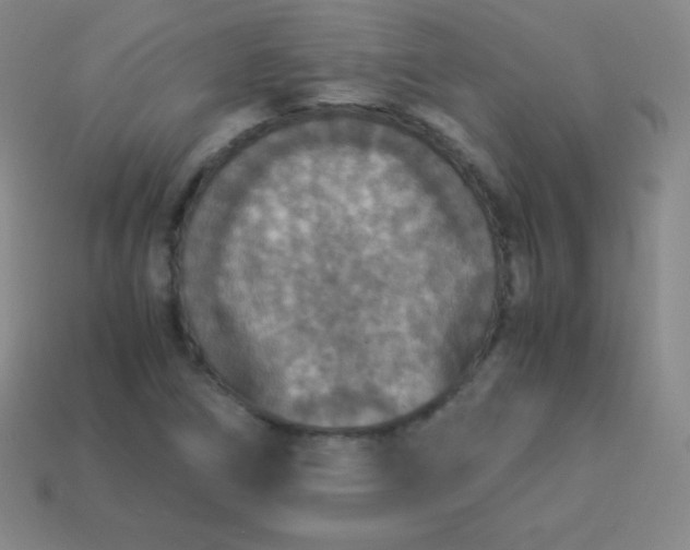 X0000113951266200910091601