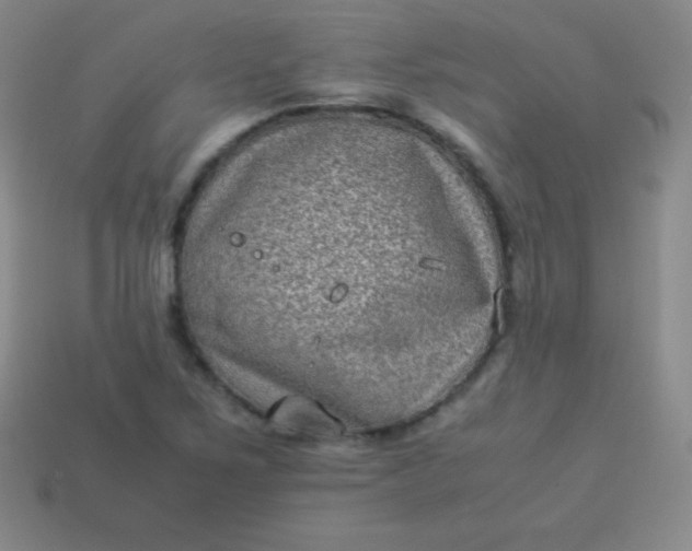 X0000113951267200910091601