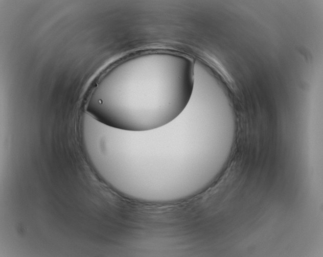 X0000113951268200910091601