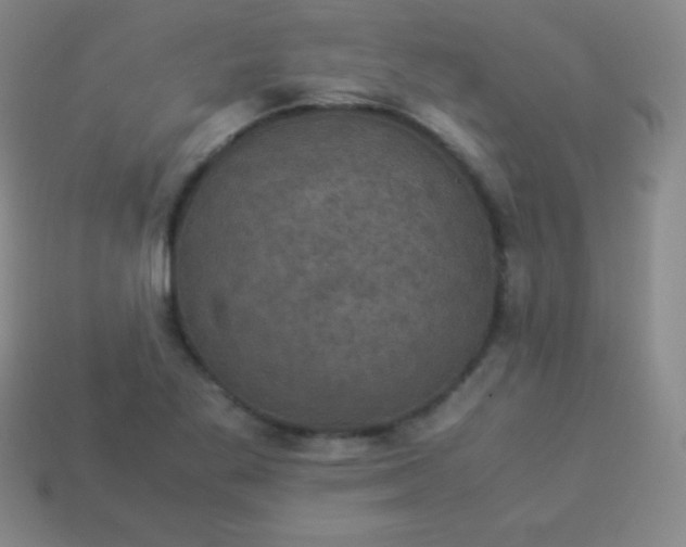 X0000113951269200910091601