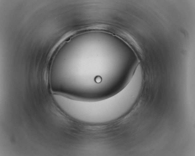 X0000113951276200910091601