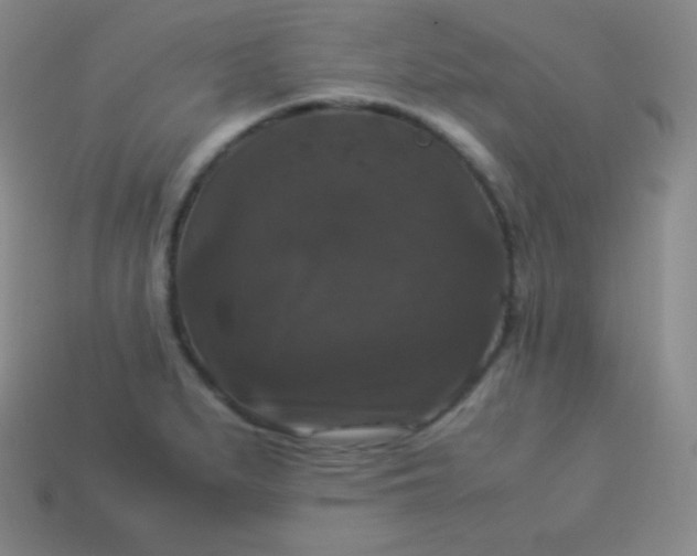 X0000113951279200910091601