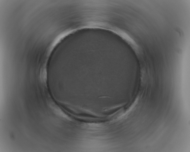 X0000113951280200910091601