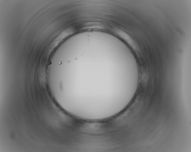 X0000113951282200910091601
